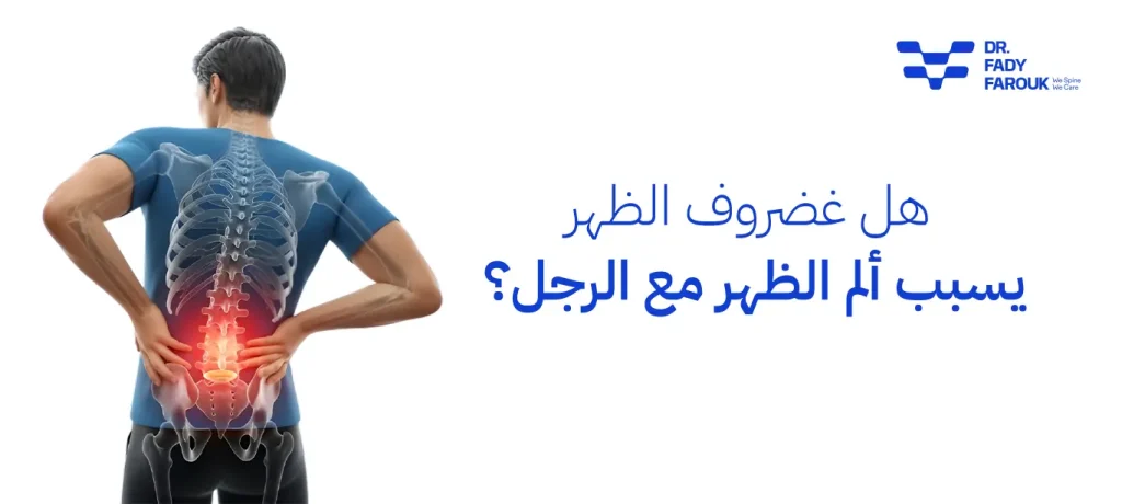 غضروف الظهر